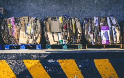 The Impact of Toxic Waste on Our Environment